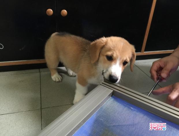 华体会体育hth官方网站:济源市天坛路幼儿园到下冶开展“情暖寒冬与爱同行”教育扶贫活动(图2) 华体会体育hth官方网站