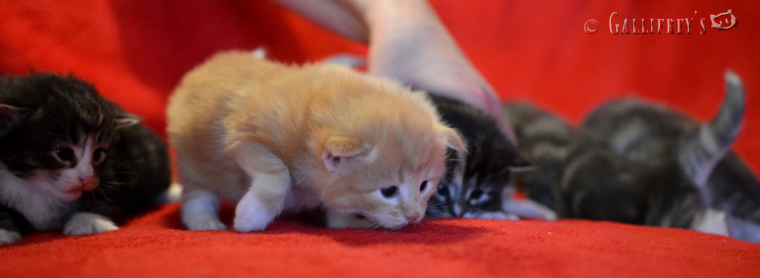 华体会体育hth官方网站