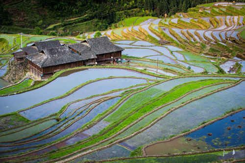 华体会体育hth官方网站