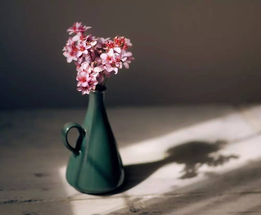 华体会体育hth官方网站