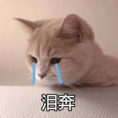
如何将语音文件转换为文字？这5款软件轻松做到！|华体会体育hth官方网站(图3)